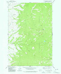 Download a high-resolution, GPS-compatible USGS topo map for Willow Mountain, MT (1978 edition)
