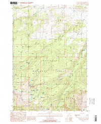 Download a high-resolution, GPS-compatible USGS topo map for Willow Swamp, MT (1989 edition)
