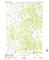 Download a high-resolution, GPS-compatible USGS topo map for Windy Hill, MT (1988 edition)