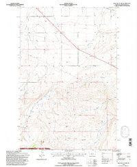 Download a high-resolution, GPS-compatible USGS topo map for Wolf Butte NW, MT (1997 edition)