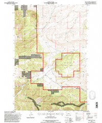 Download a high-resolution, GPS-compatible USGS topo map for Wolf Butte, MT (1997 edition)