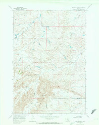 Download a high-resolution, GPS-compatible USGS topo map for Woody Mountain, MT (1972 edition)