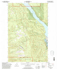 Download a high-resolution, GPS-compatible USGS topo map for Yew Creek, MT (1996 edition)