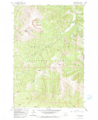 Download a high-resolution, GPS-compatible USGS topo map for Yogo Peak, MT (1991 edition)