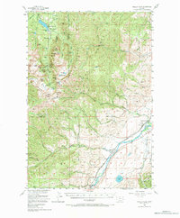Download a high-resolution, GPS-compatible USGS topo map for Fridley Peak, MT (1984 edition)