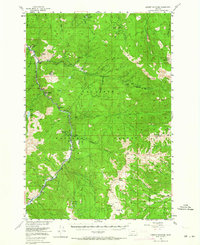 Download a high-resolution, GPS-compatible USGS topo map for Garnet Mountain, MT (1964 edition)