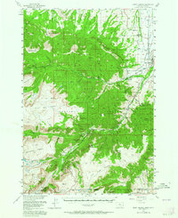 Download a high-resolution, GPS-compatible USGS topo map for Mount Maurice, MT (1964 edition)