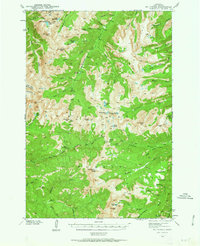 Download a high-resolution, GPS-compatible USGS topo map for Mt Cowen, MT (1963 edition)