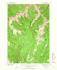 Download a high-resolution, GPS-compatible USGS topo map for Mt Wallace, MT (1966 edition)