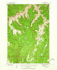 Download a high-resolution, GPS-compatible USGS topo map for Mt Wallace, MT (1963 edition)
