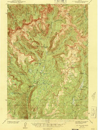 Download a high-resolution, GPS-compatible USGS topo map for Mt Wallace, MT (1943 edition)