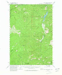 Download a high-resolution, GPS-compatible USGS topo map for Painted Rocks Lake, MT (1980 edition)