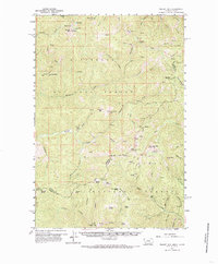 Download a high-resolution, GPS-compatible USGS topo map for Piquett Mtn, MT (1985 edition)