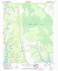 1950 Map of Arapahoe, NC, 1993 Print