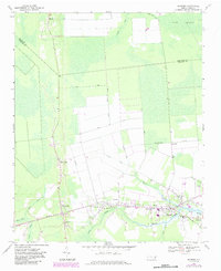 1968 Map of Bayboro, NC, 1984 Print