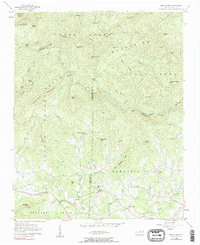 Download a high-resolution, GPS-compatible USGS topo map for Benn Knob, NC (1984 edition)