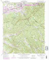 Download a high-resolution, GPS-compatible USGS topo map for Black Mountain, NC (1989 edition)