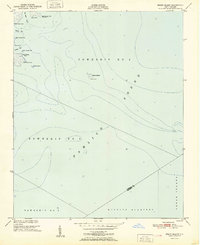 Download a high-resolution, GPS-compatible USGS topo map for Brant Island, NC (1951 edition)