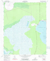 Download a high-resolution, GPS-compatible USGS topo map for Engelhard NE, NC (1989 edition)