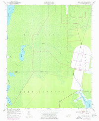 Download a high-resolution, GPS-compatible USGS topo map for Engelhard NW, NC (1977 edition)