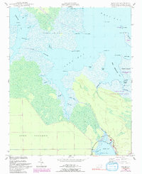 Download a high-resolution, GPS-compatible USGS topo map for Long Bay, NC (1992 edition)