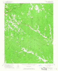 Download a high-resolution, GPS-compatible USGS topo map for Maple Springs, NC (1968 edition)