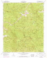 Download a high-resolution, GPS-compatible USGS topo map for Rainbow Springs, NC (1978 edition)