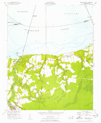 Download a high-resolution, GPS-compatible USGS topo map for Roper North, NC (1957 edition)