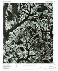 Download a high-resolution, GPS-compatible USGS topo map for Rowland, NC (1978 edition)