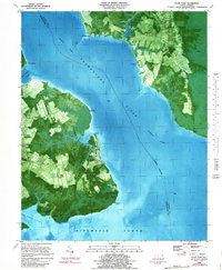 Download a high-resolution, GPS-compatible USGS topo map for Wade Point, NC (1991 edition)