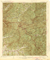 Download a high-resolution, GPS-compatible USGS topo map for Wayah Bald, NC (1942 edition)