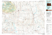 Download a high-resolution, GPS-compatible USGS topo map for Rock Lake, ND (1994 edition)