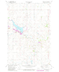 Download a high-resolution, GPS-compatible USGS topo map for Nelson Lake, ND (1980 edition)