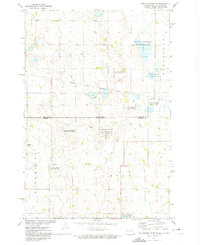 Download a high-resolution, GPS-compatible USGS topo map for New Effington NW, ND (1974 edition)