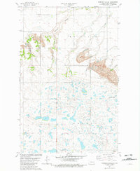 preview thumbnail of historical topo map of Ward County, ND in 1981