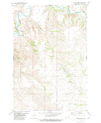 Download a high-resolution, GPS-compatible USGS topo map for Spring Creek, ND (1980 edition)