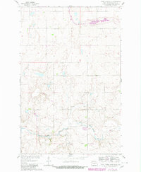 Download a high-resolution, GPS-compatible USGS topo map for Turtle Creek SE, ND (1980 edition)