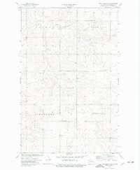Download a high-resolution, GPS-compatible USGS topo map for West Bonetraill, ND (1977 edition)