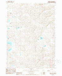 Download a high-resolution, GPS-compatible USGS topo map for Arnold Lake, NE (1989 edition)