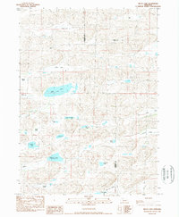 Download a high-resolution, GPS-compatible USGS topo map for Billys Lake, NE (1989 edition)