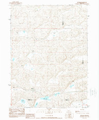 Download a high-resolution, GPS-compatible USGS topo map for Bingham, NE (1989 edition)