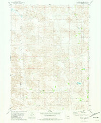 Download a high-resolution, GPS-compatible USGS topo map for Bruner Lake, NE (1981 edition)