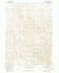 Download a high-resolution, GPS-compatible USGS topo map for Burwell NE, NE (1978 edition)