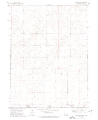 Download a high-resolution, GPS-compatible USGS topo map for Bushnell SE, NE (1975 edition)