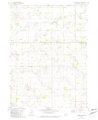 Download a high-resolution, GPS-compatible USGS topo map for Chambers West, NE (1982 edition)