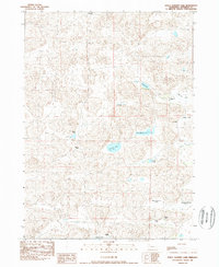 Download a high-resolution, GPS-compatible USGS topo map for Dolly Warden Lake, NE (1989 edition)