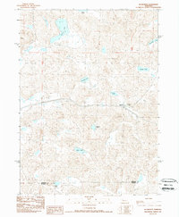 Download a high-resolution, GPS-compatible USGS topo map for Ellsworth, NE (1989 edition)