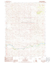 Download a high-resolution, GPS-compatible USGS topo map for Halsey SW, NE (1987 edition)