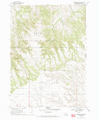 Download a high-resolution, GPS-compatible USGS topo map for Kings Canyon, NE (1993 edition)