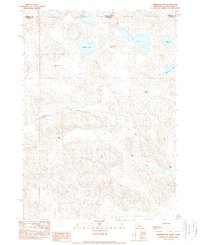 Download a high-resolution, GPS-compatible USGS topo map for Merriman NE, NE (1990 edition)
